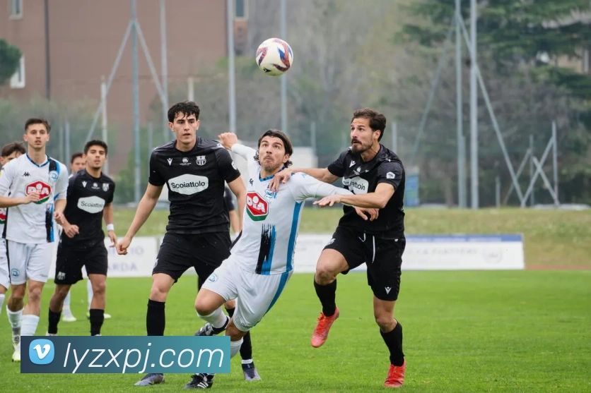 澳门新葡京官方网站服务体系